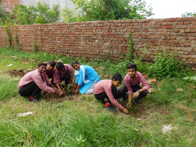 Promoting SDG 13 by distributing plants to children
